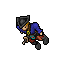 Pirate