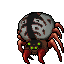 Spider Fiery