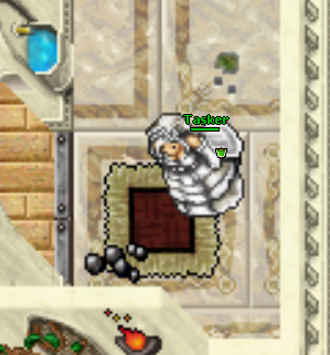 Localizacao do NPC Tasker